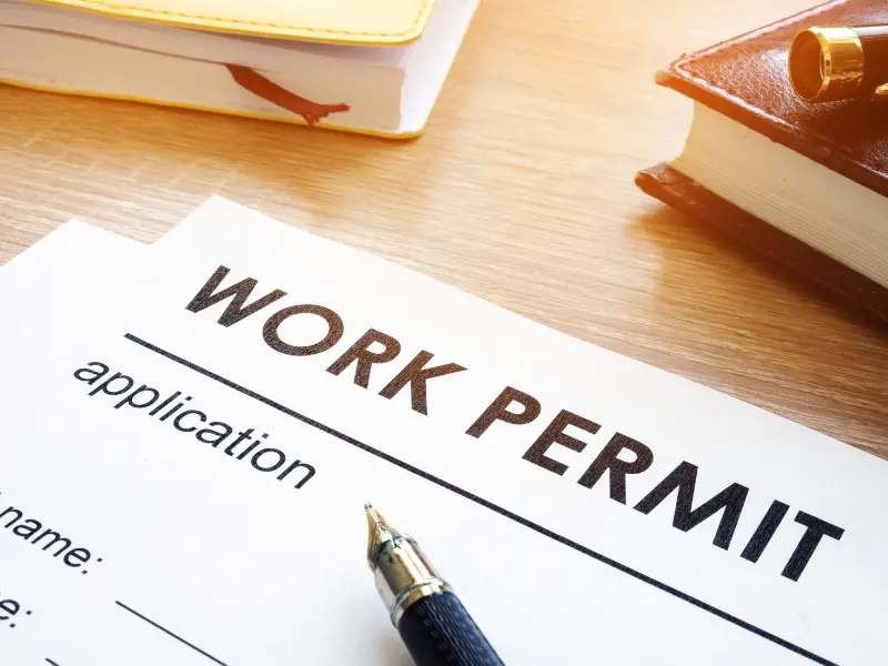 Efficient Work Permit Processing