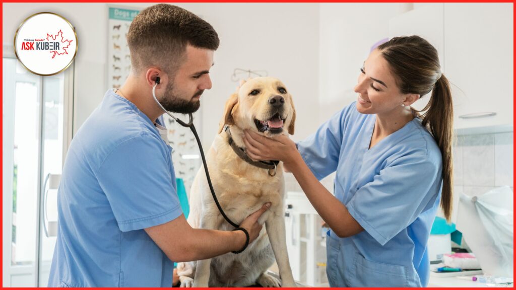 BC PNP jobs in Veterinary